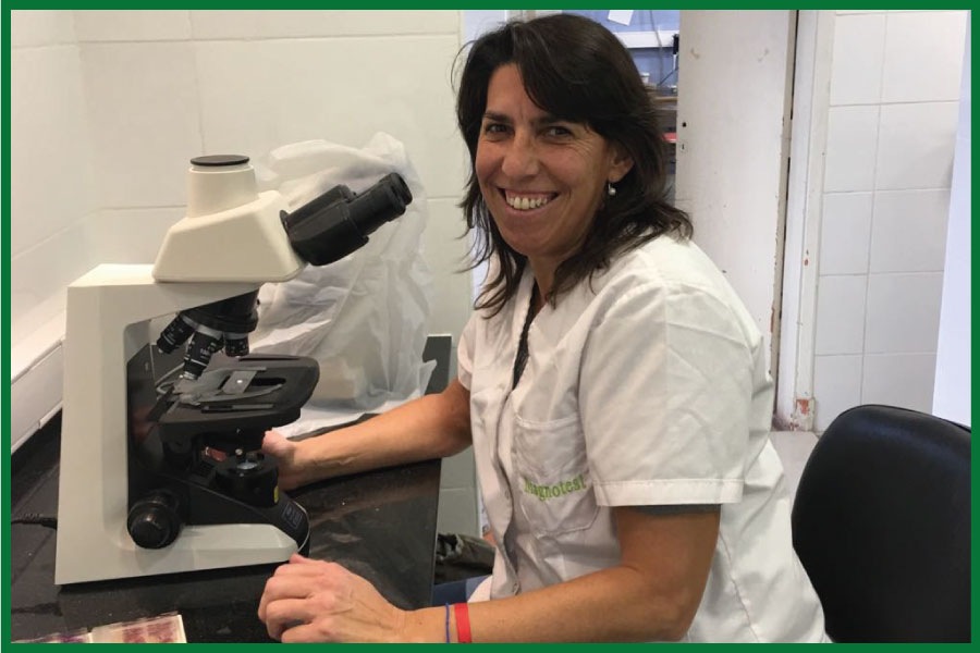 Diagnotest-ImagenNotaVeterinaria (1)